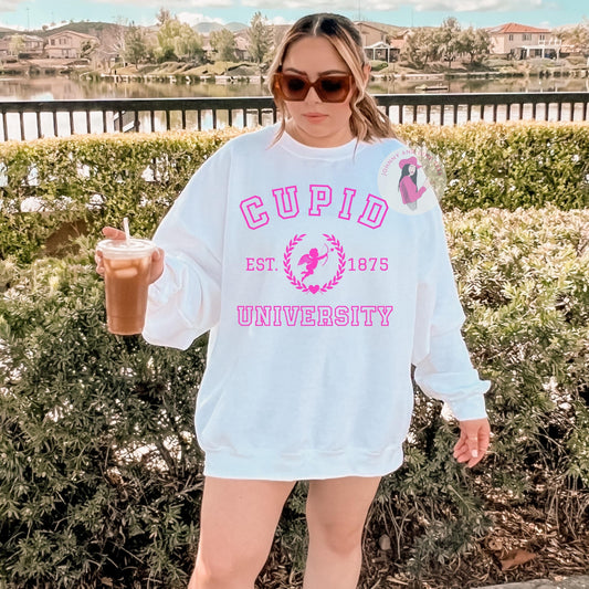 Cupid University Valentine's Day Sweatshirt