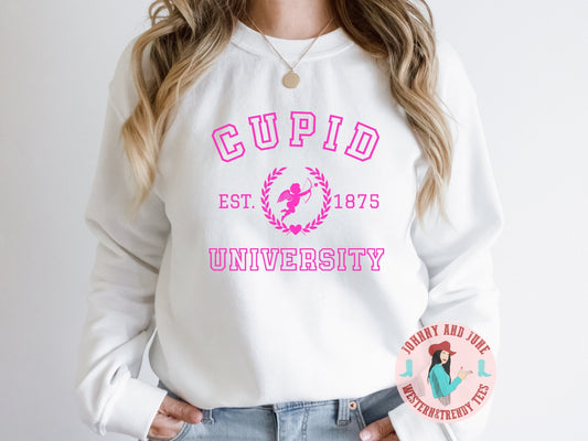 Cupid University Valentine's Day Shirt, Vintage Style T-Shirt For Her, Cupid University Sweatshirt, Cupid University Sweater, Valentines Day